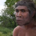 Homo Ergaster: İlk İnsan Türlerine Tanımlayıcı Bir Bakış